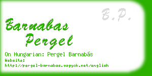 barnabas pergel business card